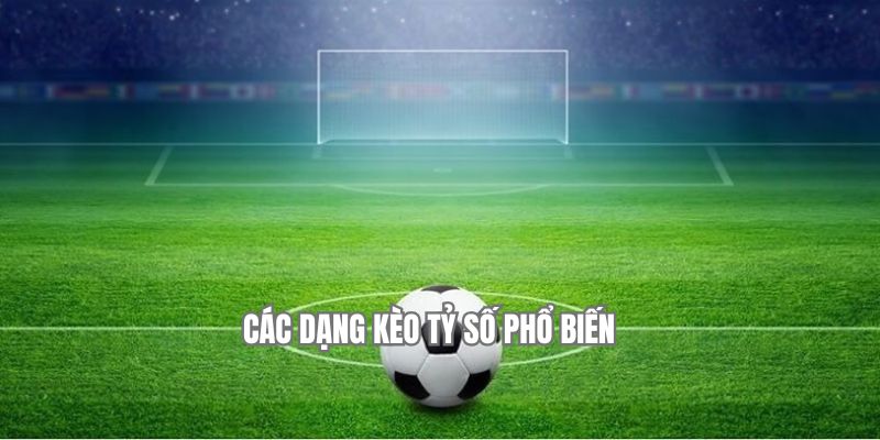 Các loại hình thường gặp ở bộ môn này