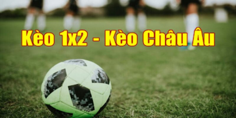 Các yếu tố về sân bãi sẽ ảnh hưởng trực tiếp đến kết quả